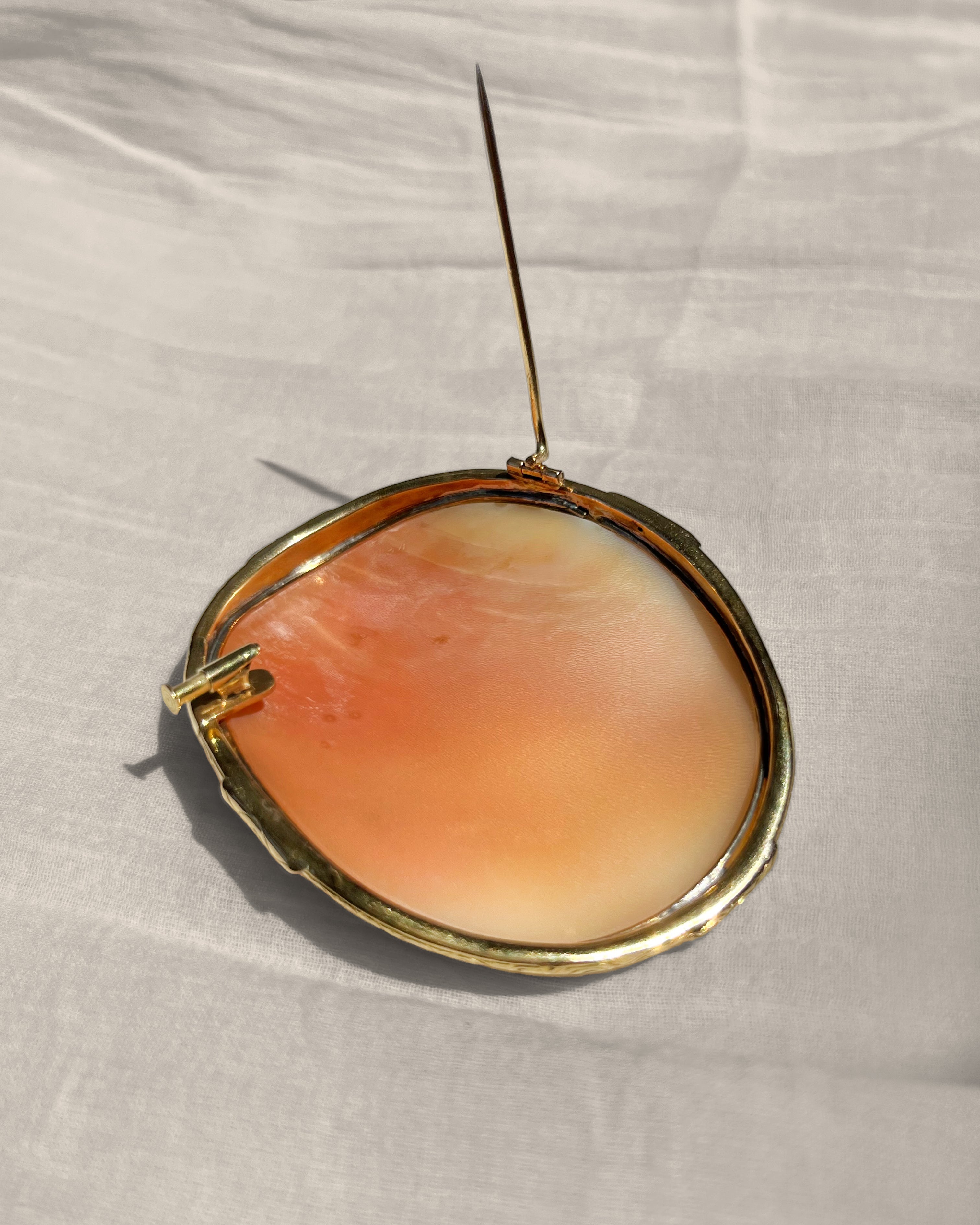 Victorian Day and Night shell cameo brooch
