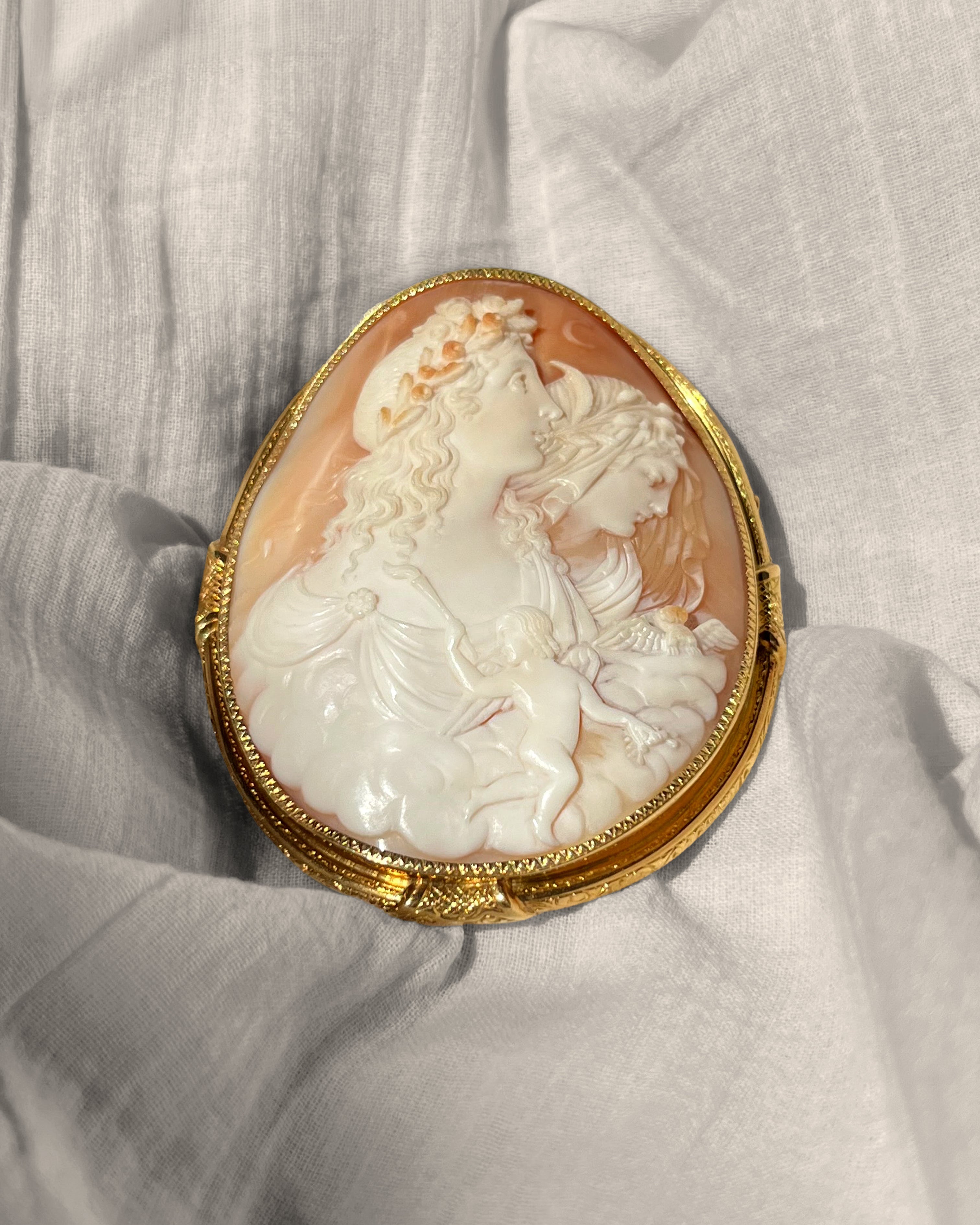 Victorian Day and Night shell cameo brooch