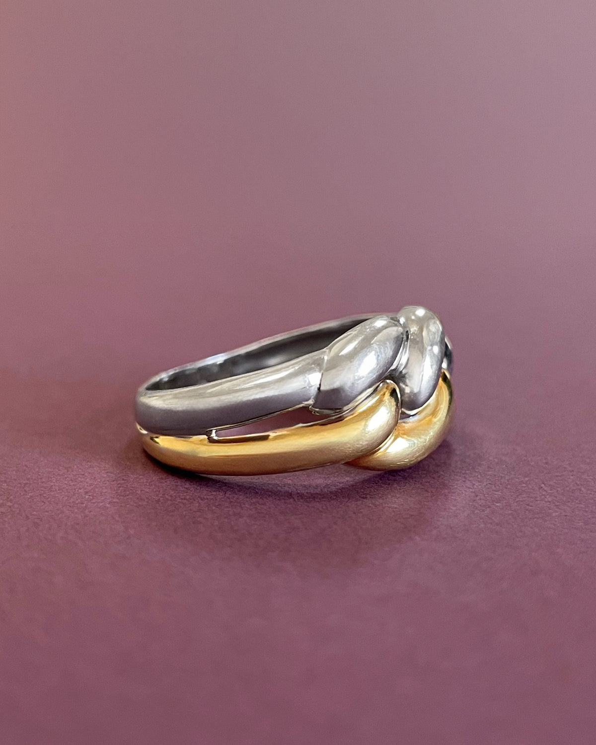 Two-tone chain link ring