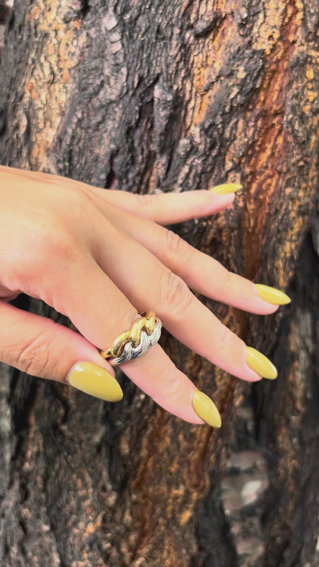 Two-tone chain link ring